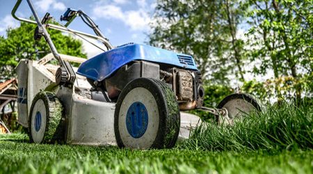 Outillage Jardin en Haute Loire (43)