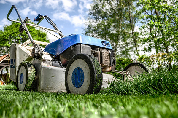 Outillage Jardin en Haute Loire (43)